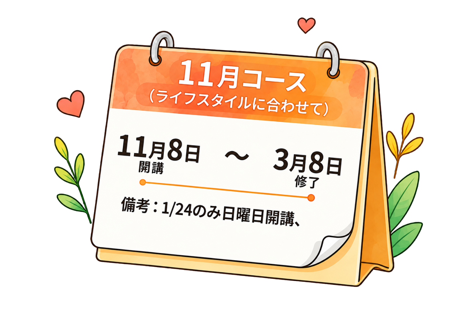 11月コース